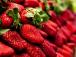 fraises-696x522.jpg